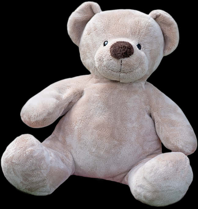 Plush Teddy Bear Isolated PNG image