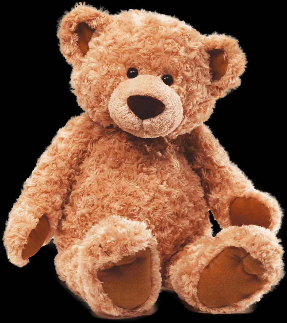 Plush Teddy Bear Isolated PNG image