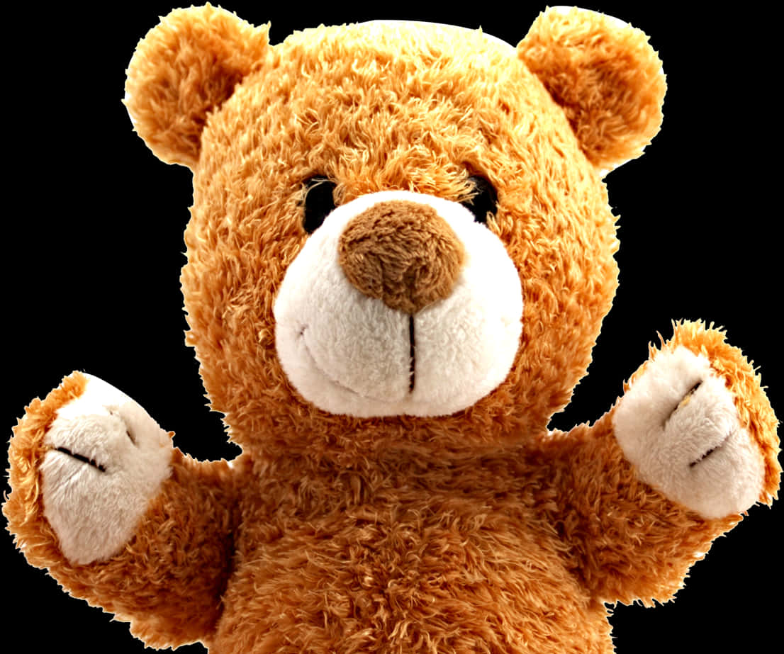 Plush Teddy Bear Toy PNG image