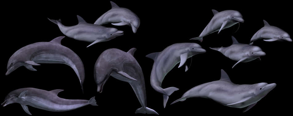 Pod_of_ Dolphins_in_ Dark_ Waters PNG image