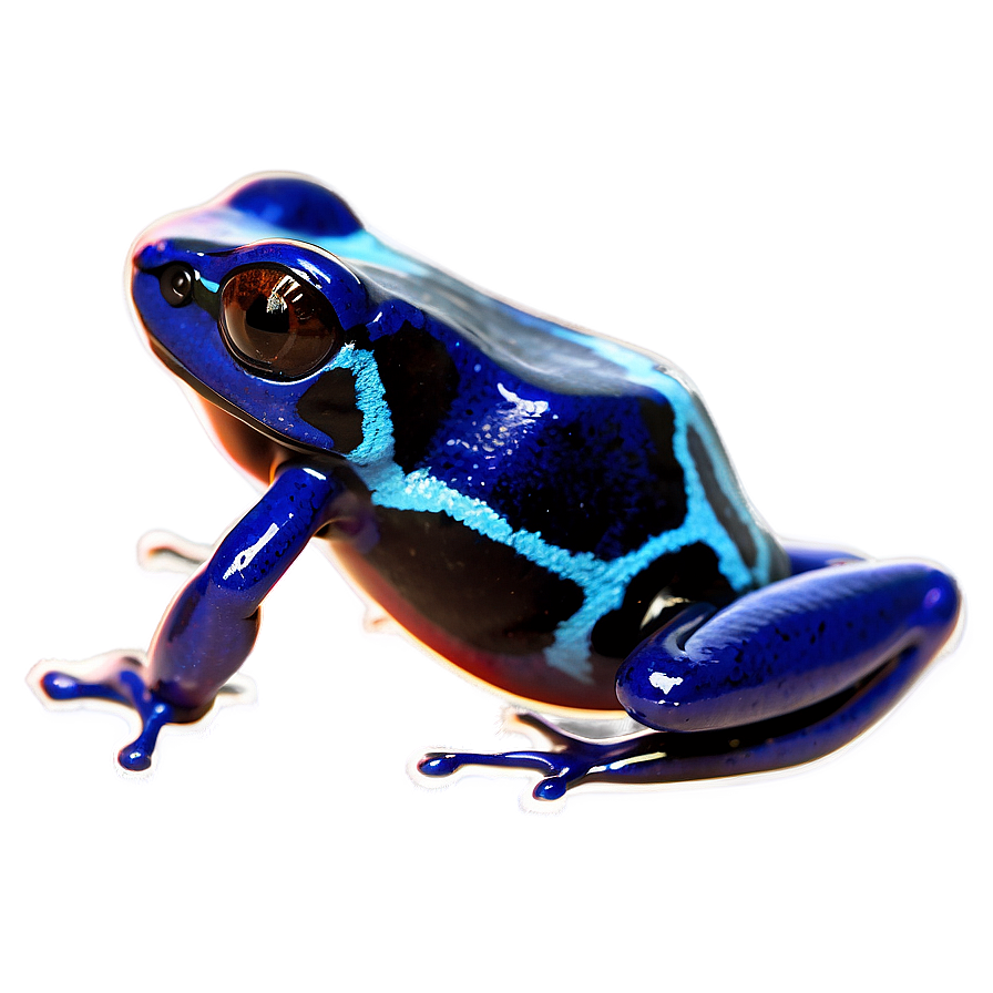 Poison Dart Frog Survival Strategy Png 06132024 PNG image