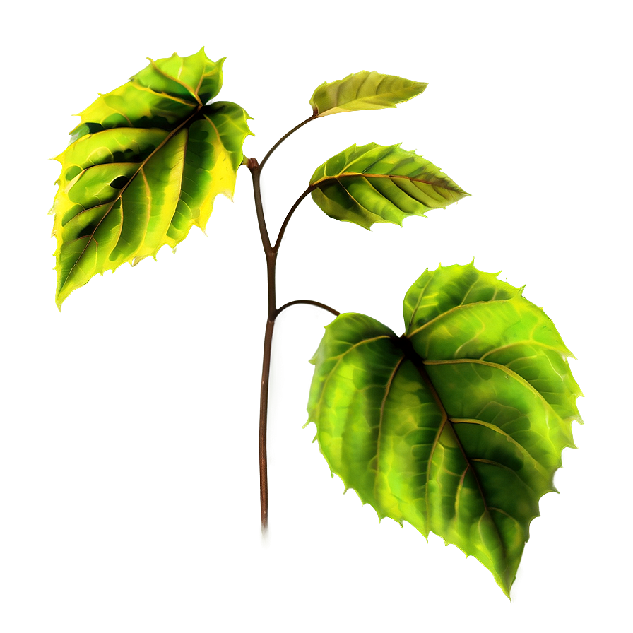 Poison Ivy Leaves Png 06272024 PNG image