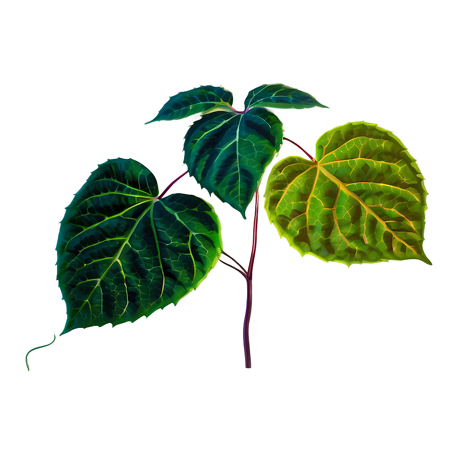 Poison Ivy Leaves Png 06272024 PNG image