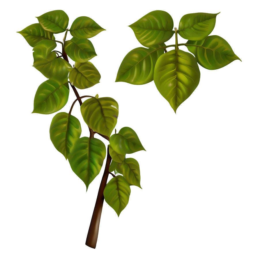 Poison Ivy Leaves Png 59 PNG image