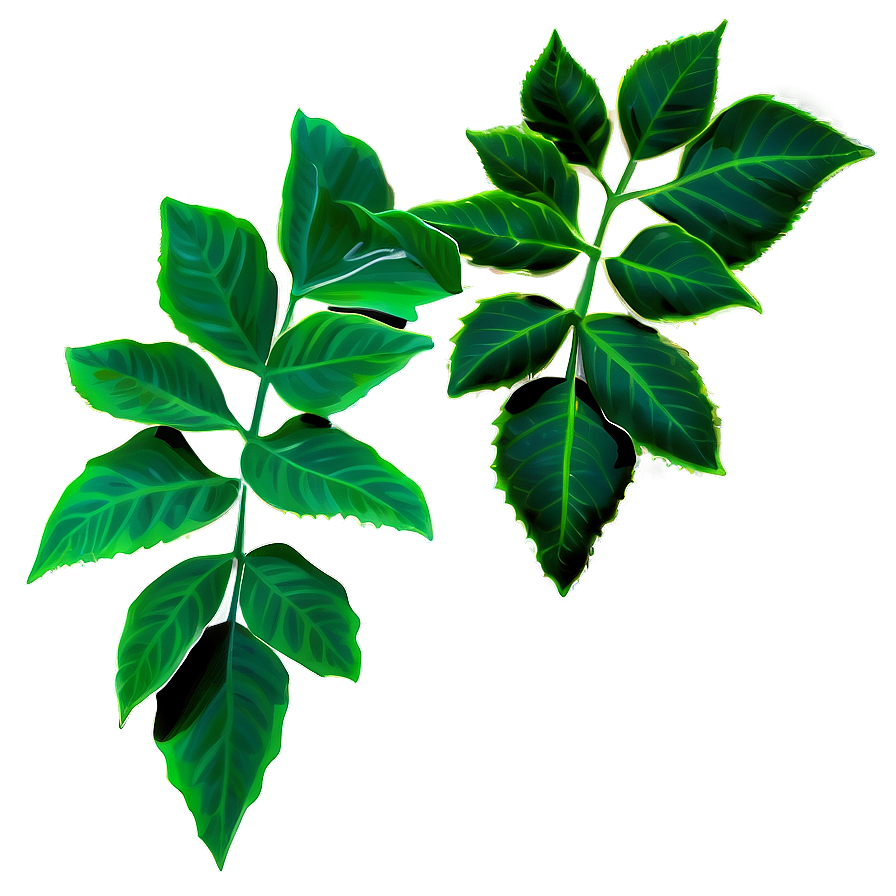 Poison Ivy Plant Png 62 PNG image