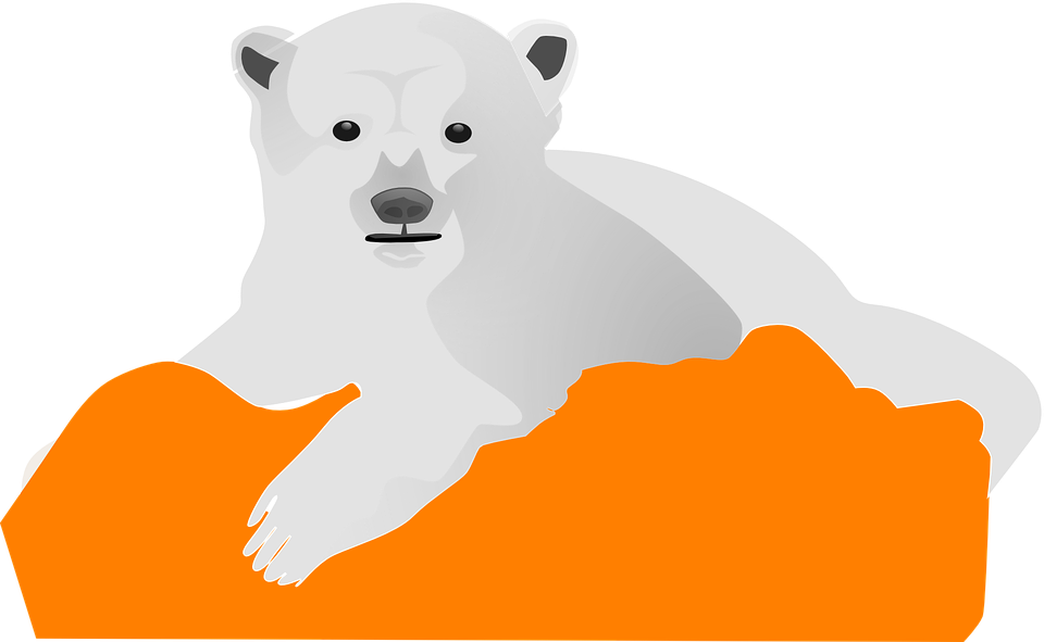 Polar Bear Graphicon Orange Background PNG image