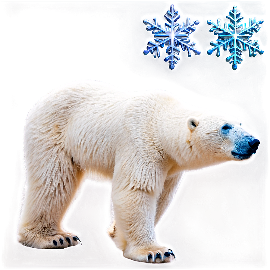 Polar Bear With Snowflakes Png Wjp PNG image