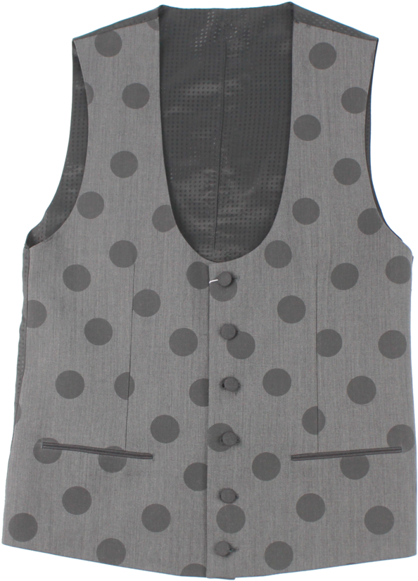 Polka Dot Grey Vest PNG image