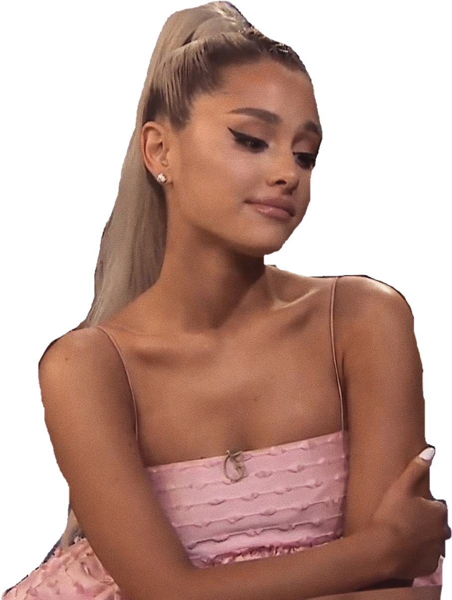 Pop Starin Pink Dress PNG image