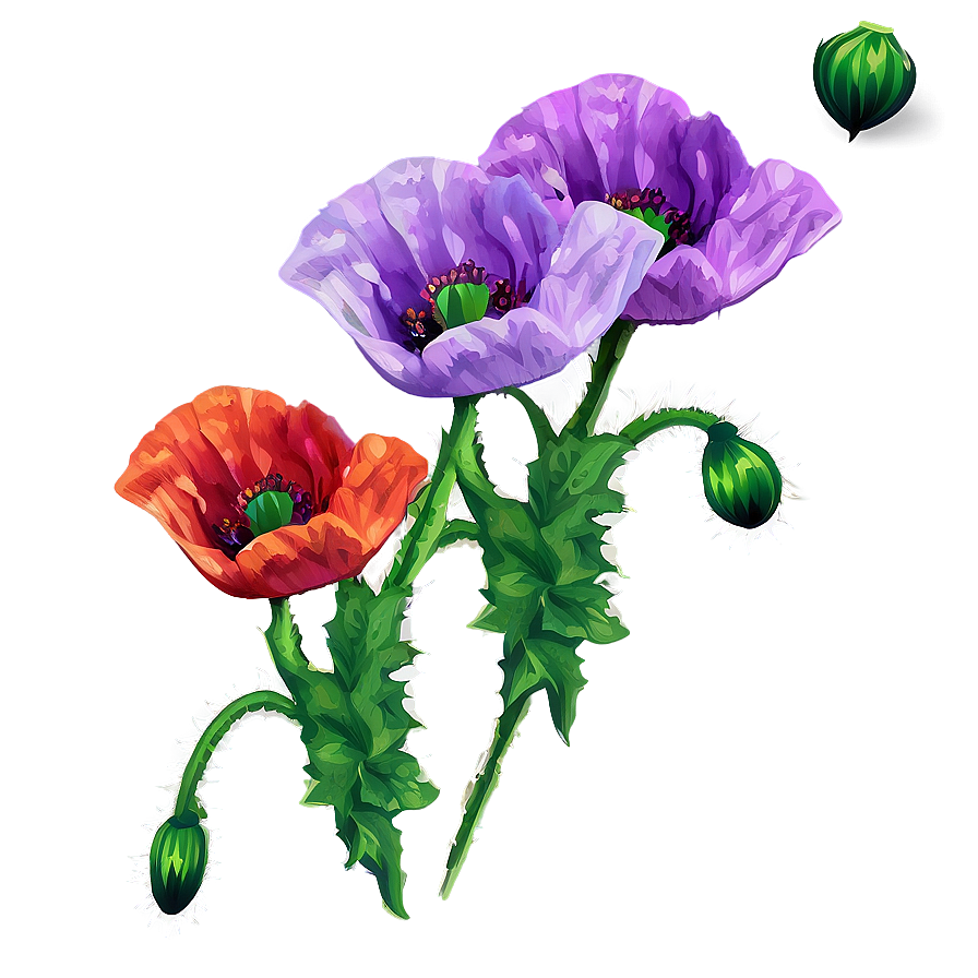 Poppy Flower Sticker Png 93 PNG image