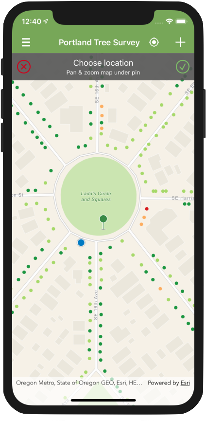 Portland Tree Survey App Screen PNG image