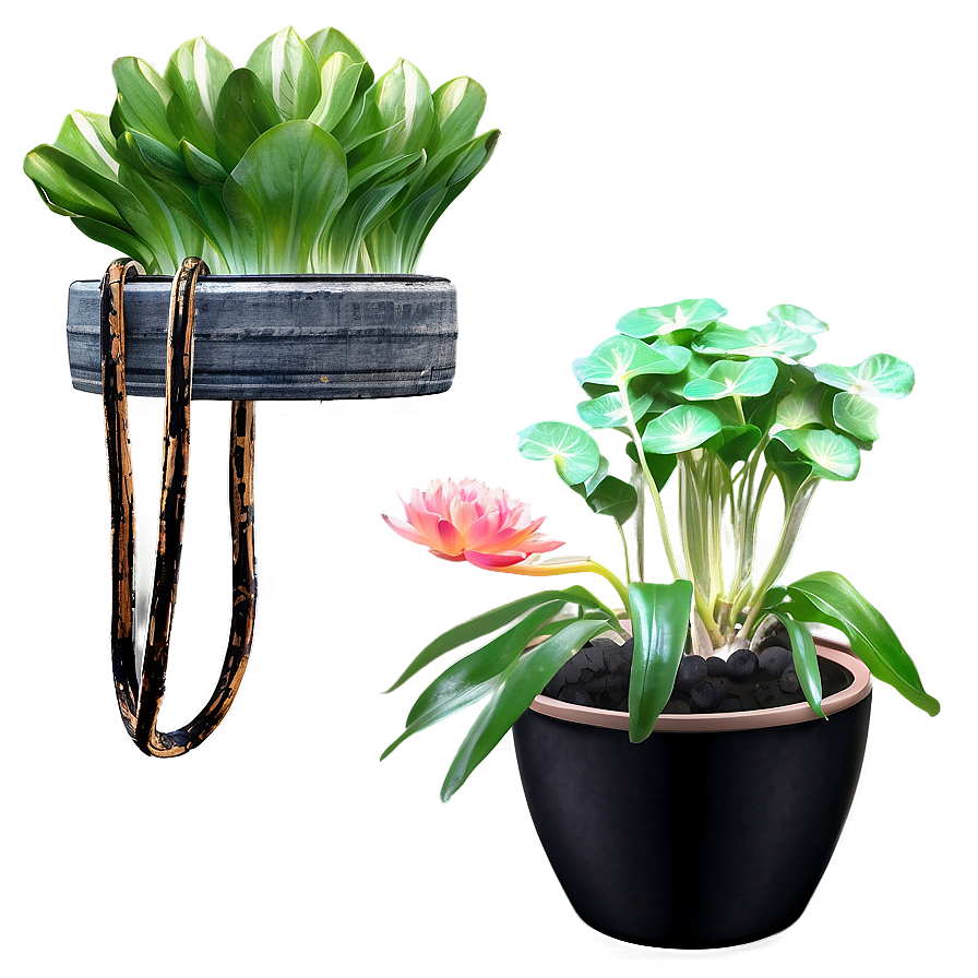 Potted Aquatic Plants Png 97 PNG image