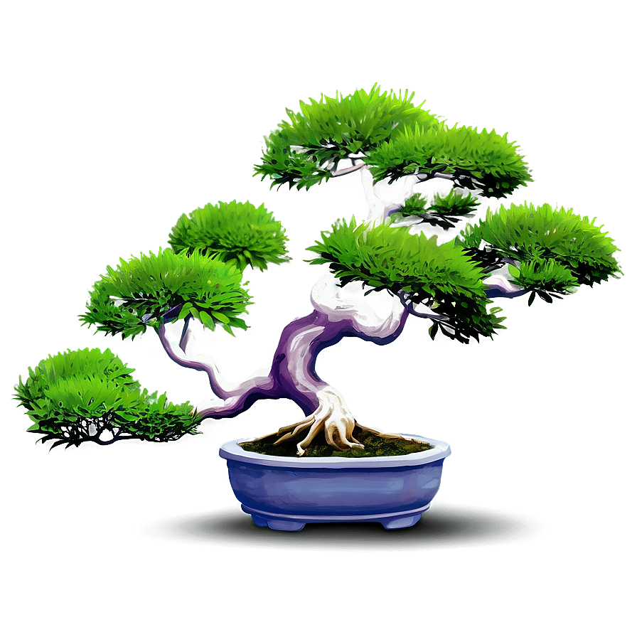 Potted Bonsai Trees Png 06122024 PNG image