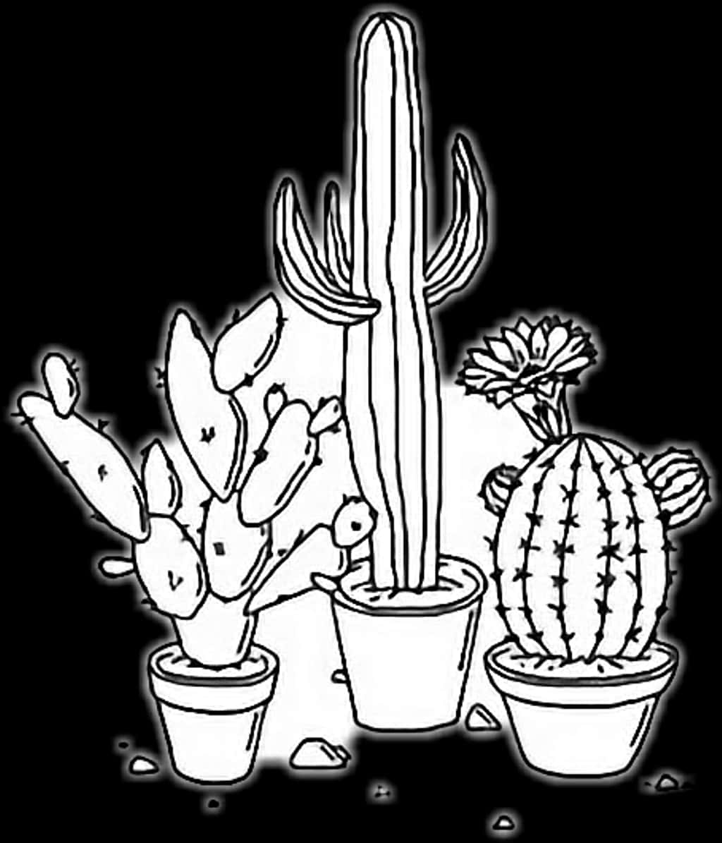 Potted Cactus Collection Line Art PNG image