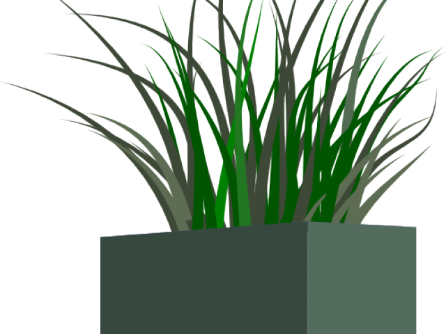 Potted Grass3 D Rendering PNG image