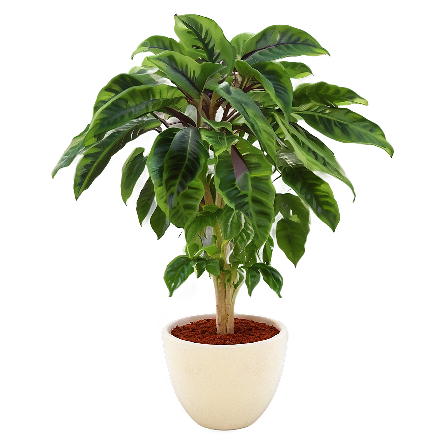 Potted Hanging Plant Png 05252024 PNG image