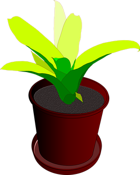 Potted Plant Illustration PNG image