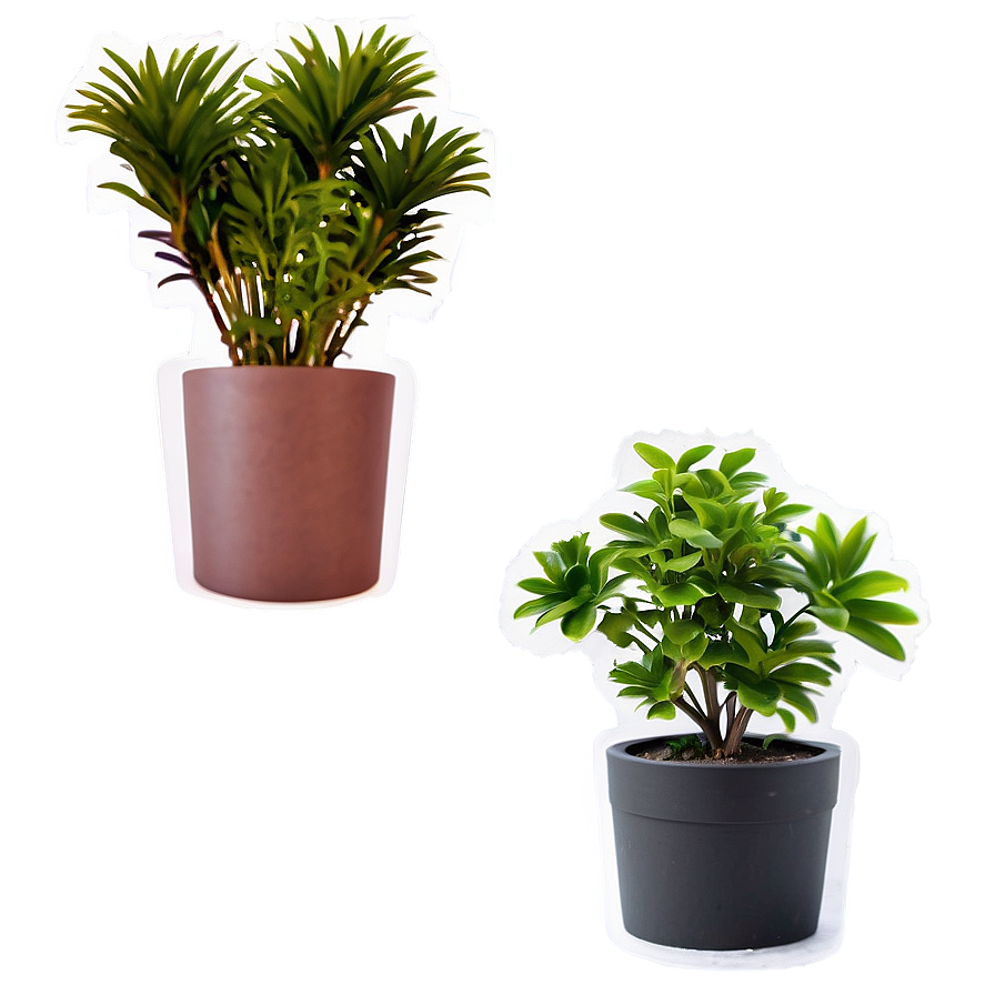 Potted Plant Labels Png Vjw PNG image