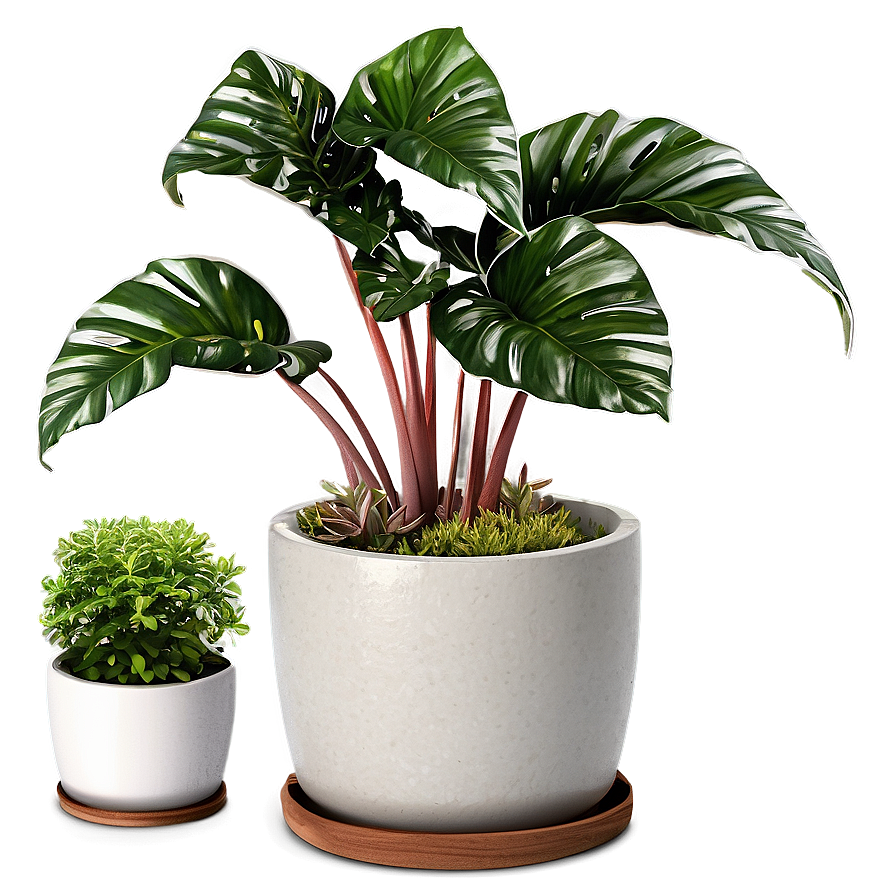 Potted Plant Pot Designs Png 06122024 PNG image