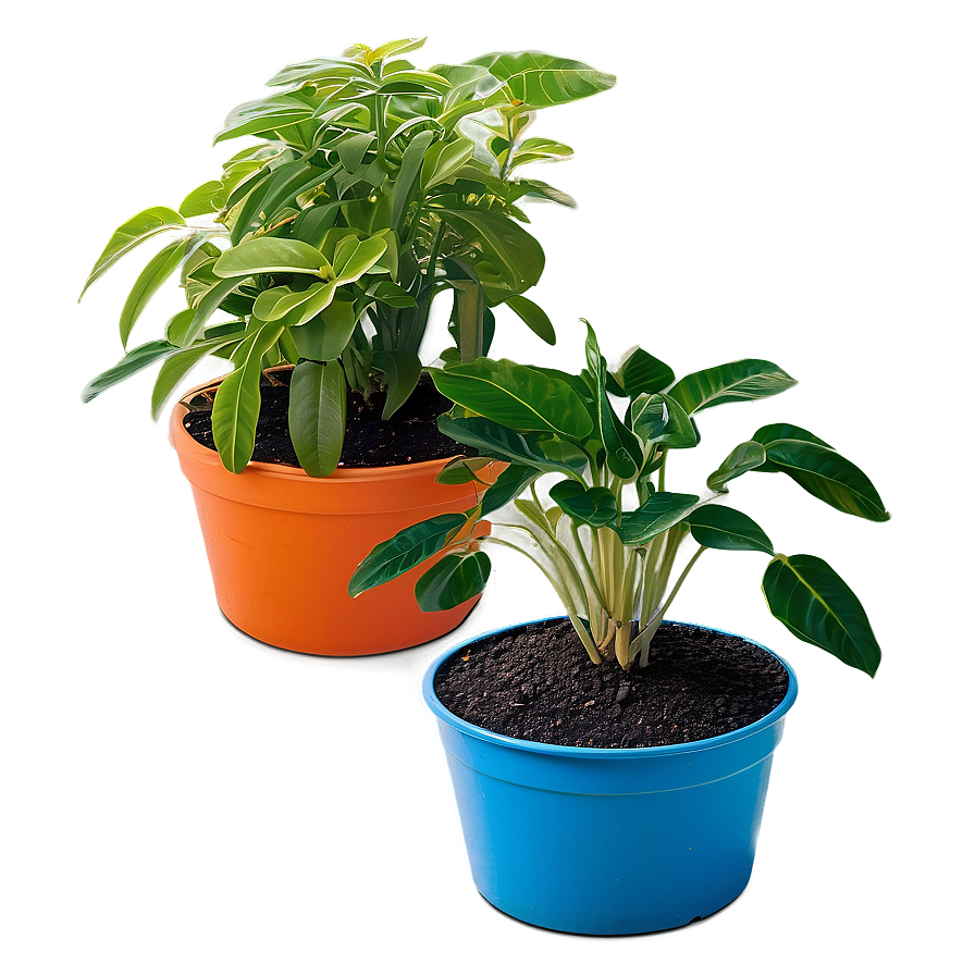 Potted Plant Soil Mixes Png Lhd68 PNG image