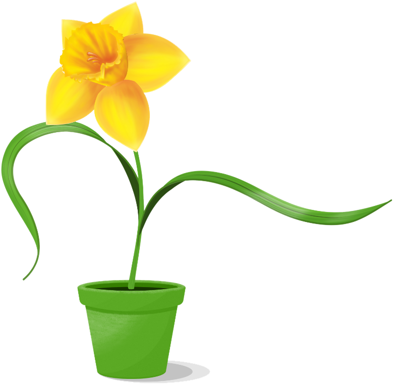 Potted Yellow Daffodil Graphic PNG image