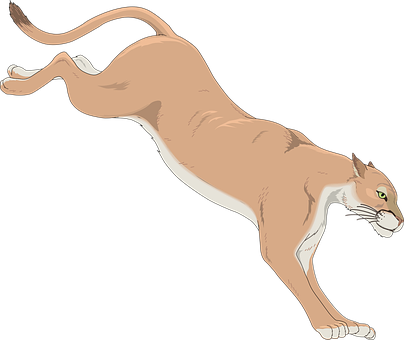 Pouncing Cougar Illustration PNG image