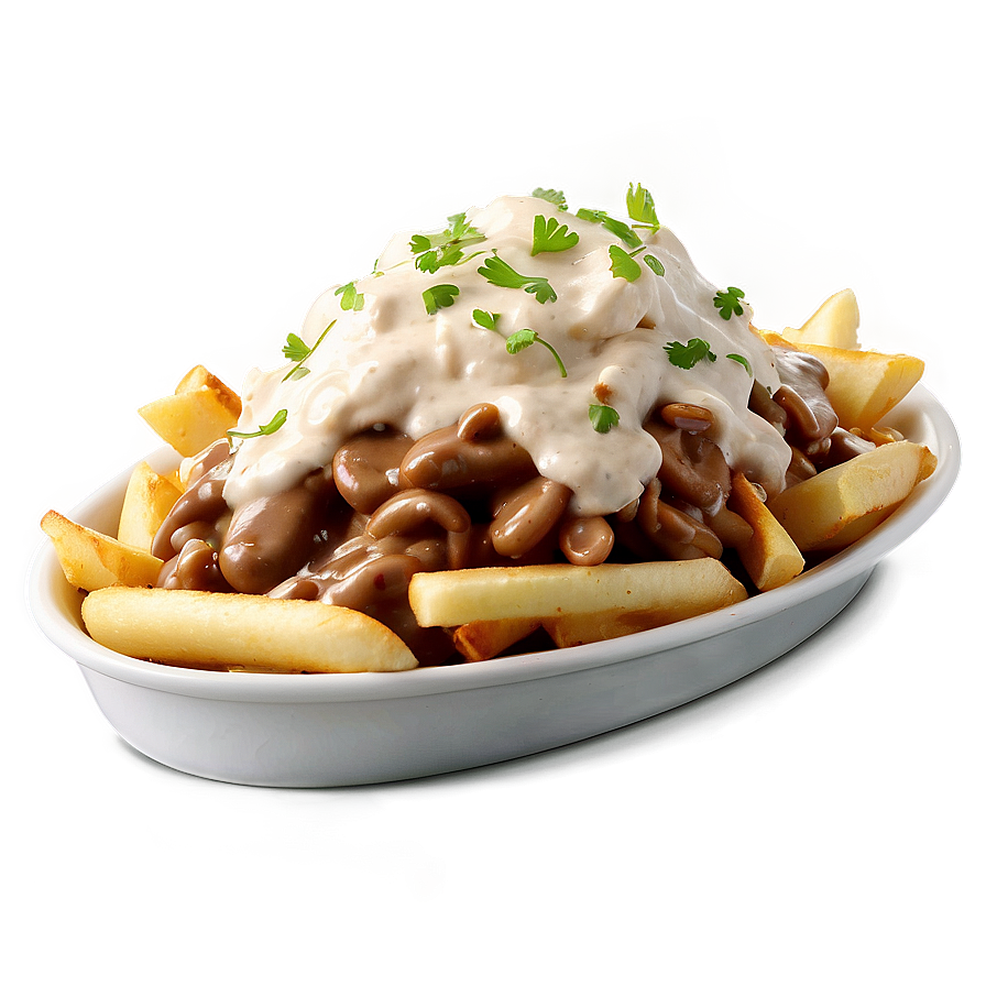 Poutine With Stroganoff Sauce Png 06252024 PNG image