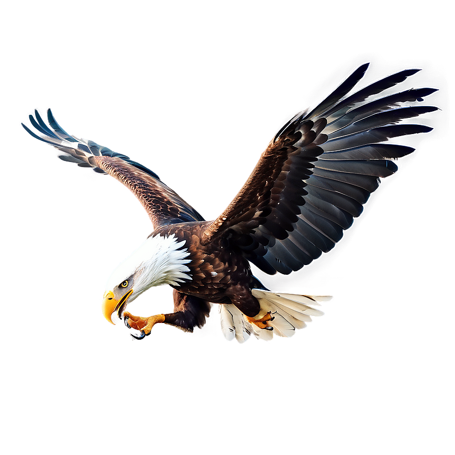 Powerful Eagle Swooping Png 10 PNG image