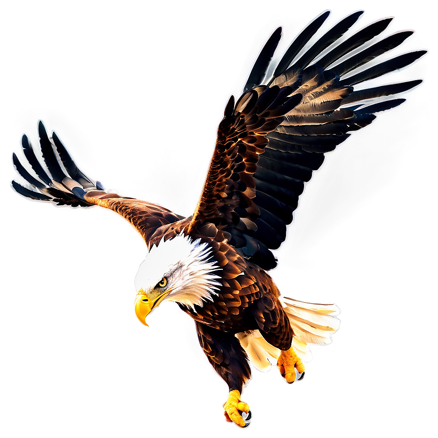 Powerful Eagle Swooping Png Jmx PNG image