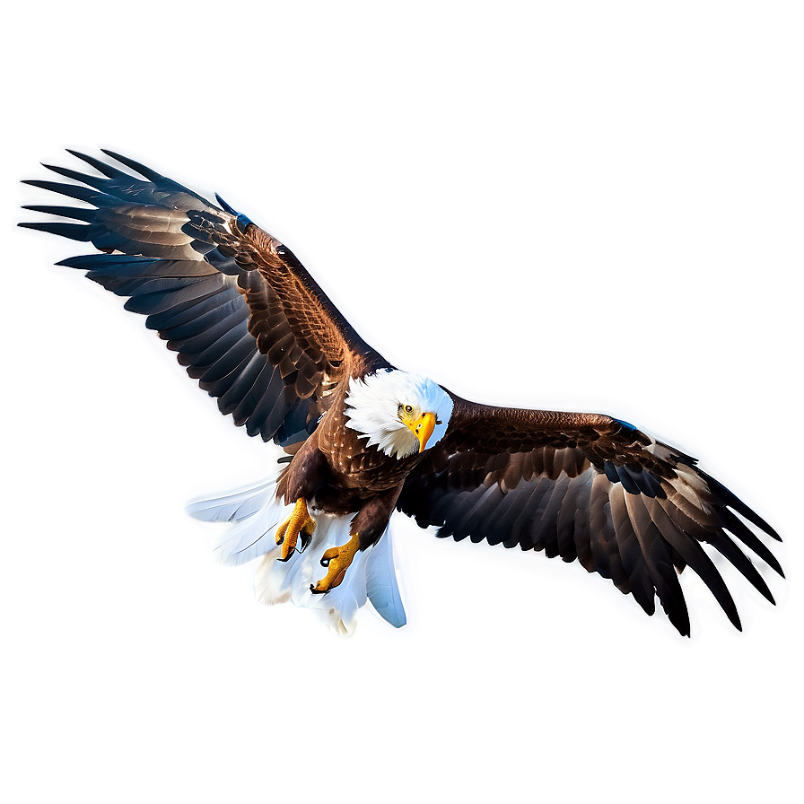 Powerful Eagle Wings Png 06262024 PNG image