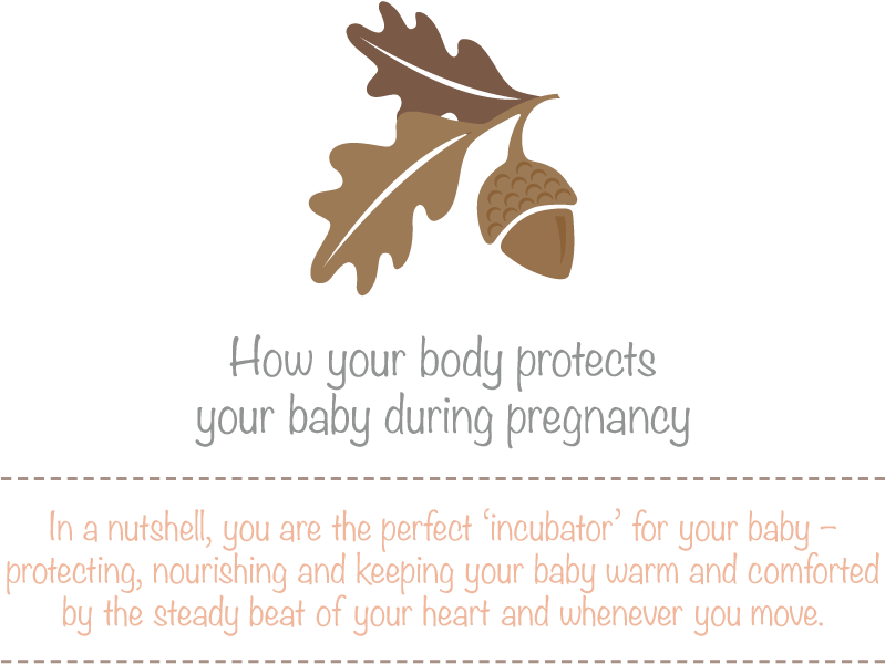 Pregnancy Protection Infographic PNG image