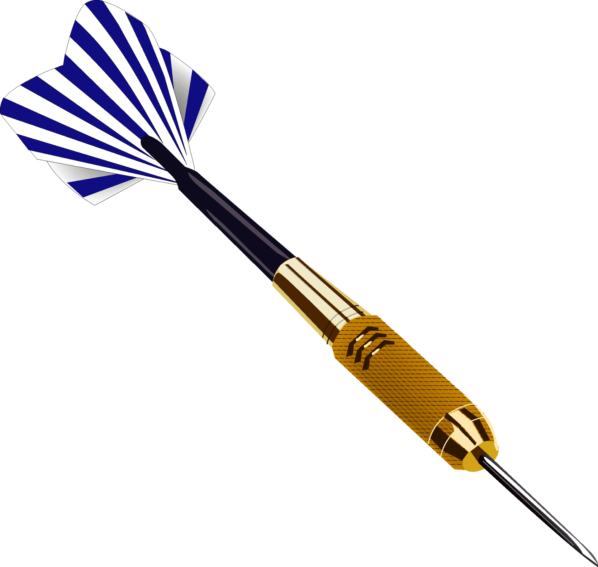 Professional Dart Equipment PNG image