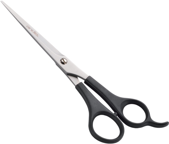 Professional Hairdressing Scissors PNG image