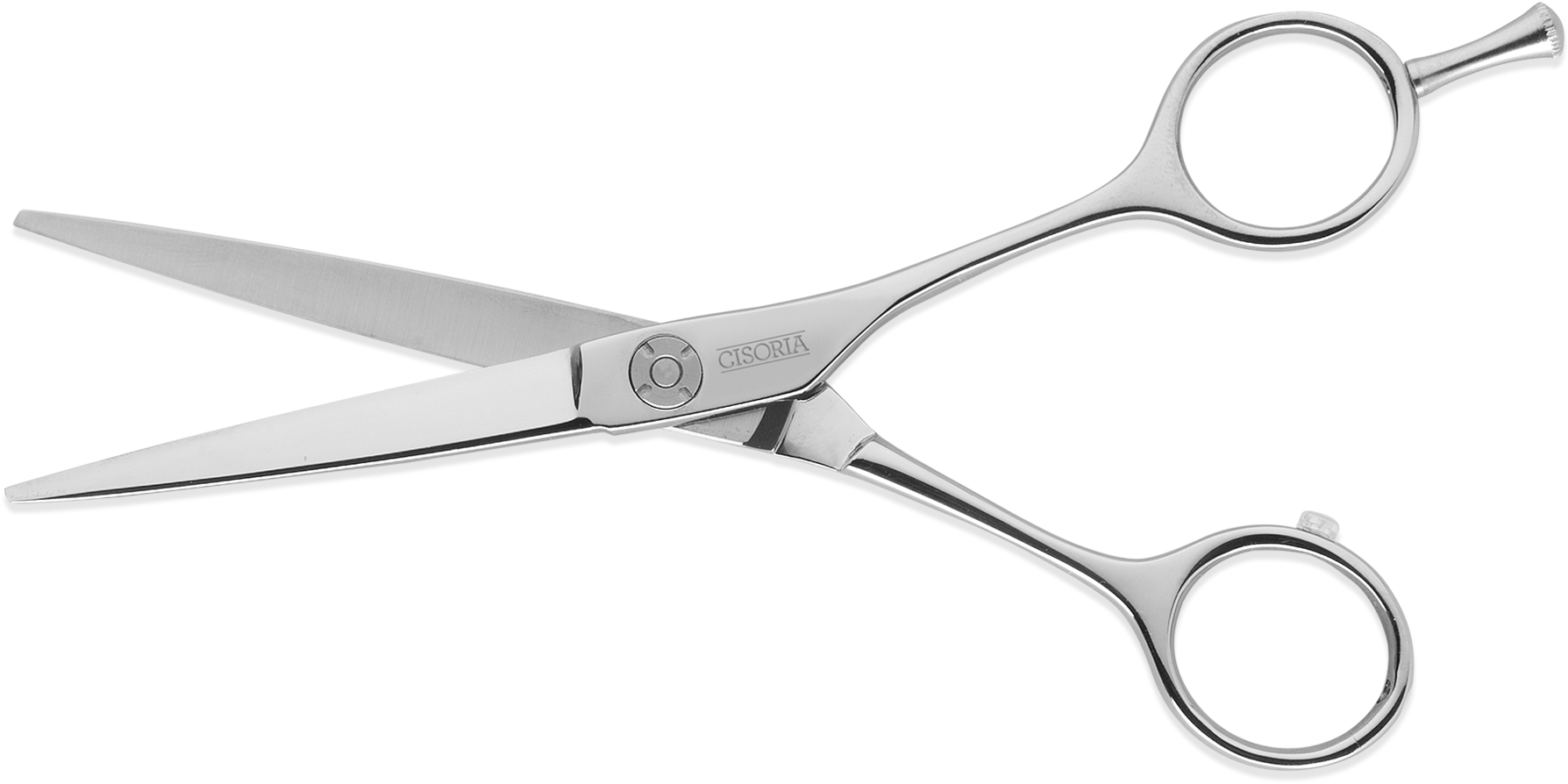 Professional Hairdressing Scissors PNG image