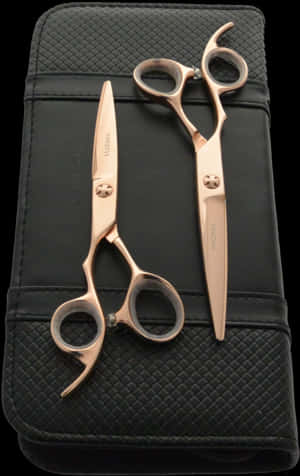 Professional Hairdressing Scissorson Case.jpg PNG image