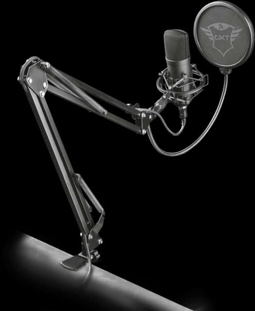 Professional Studio Microphonewith Boom Arm PNG image