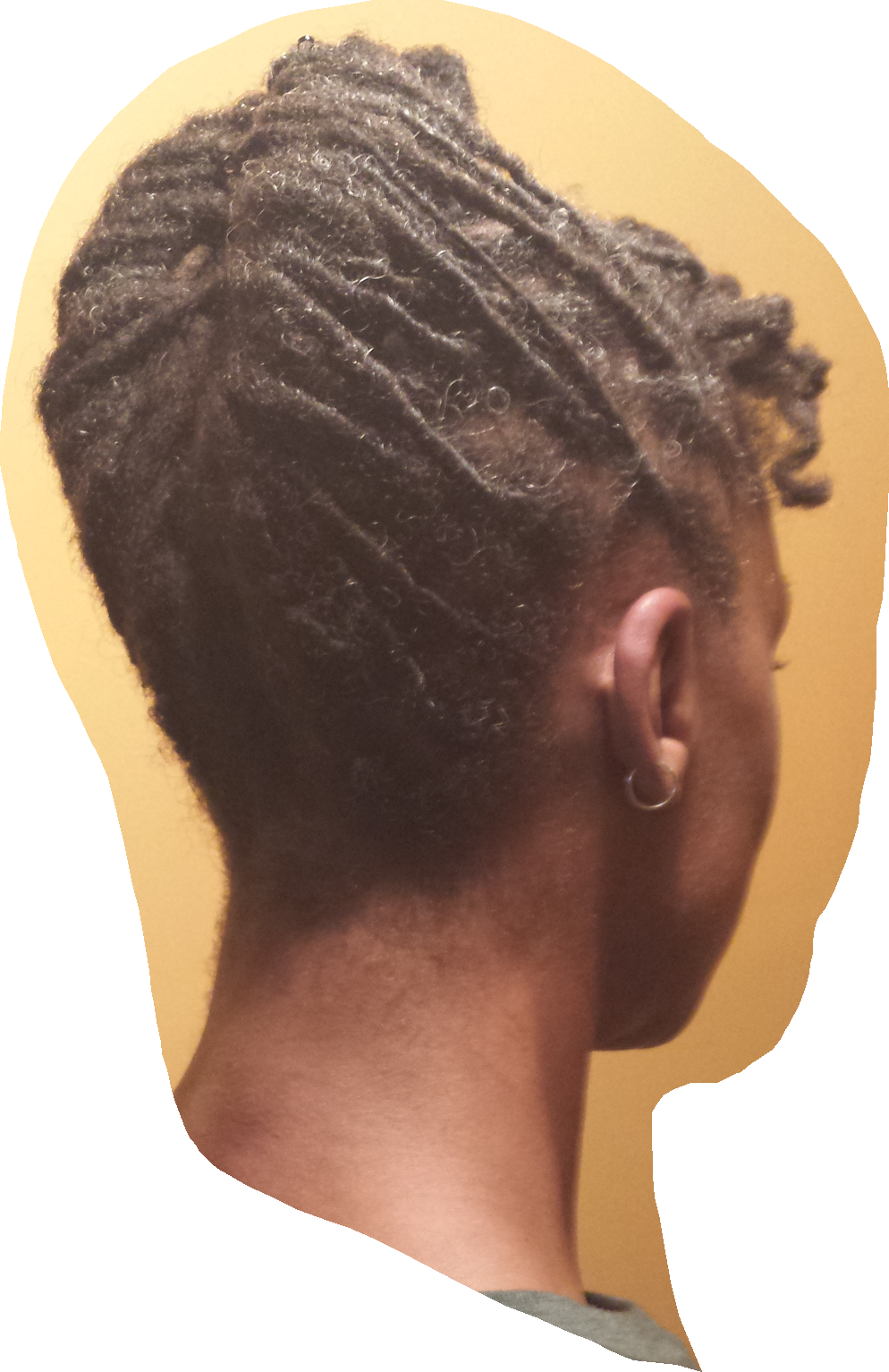 Profile View Dreadlocks Hairstyle PNG image