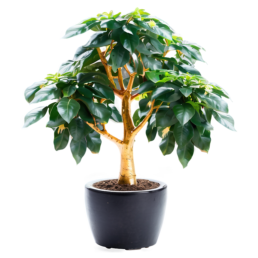 Prosperous Money Tree Image Png 13 PNG image