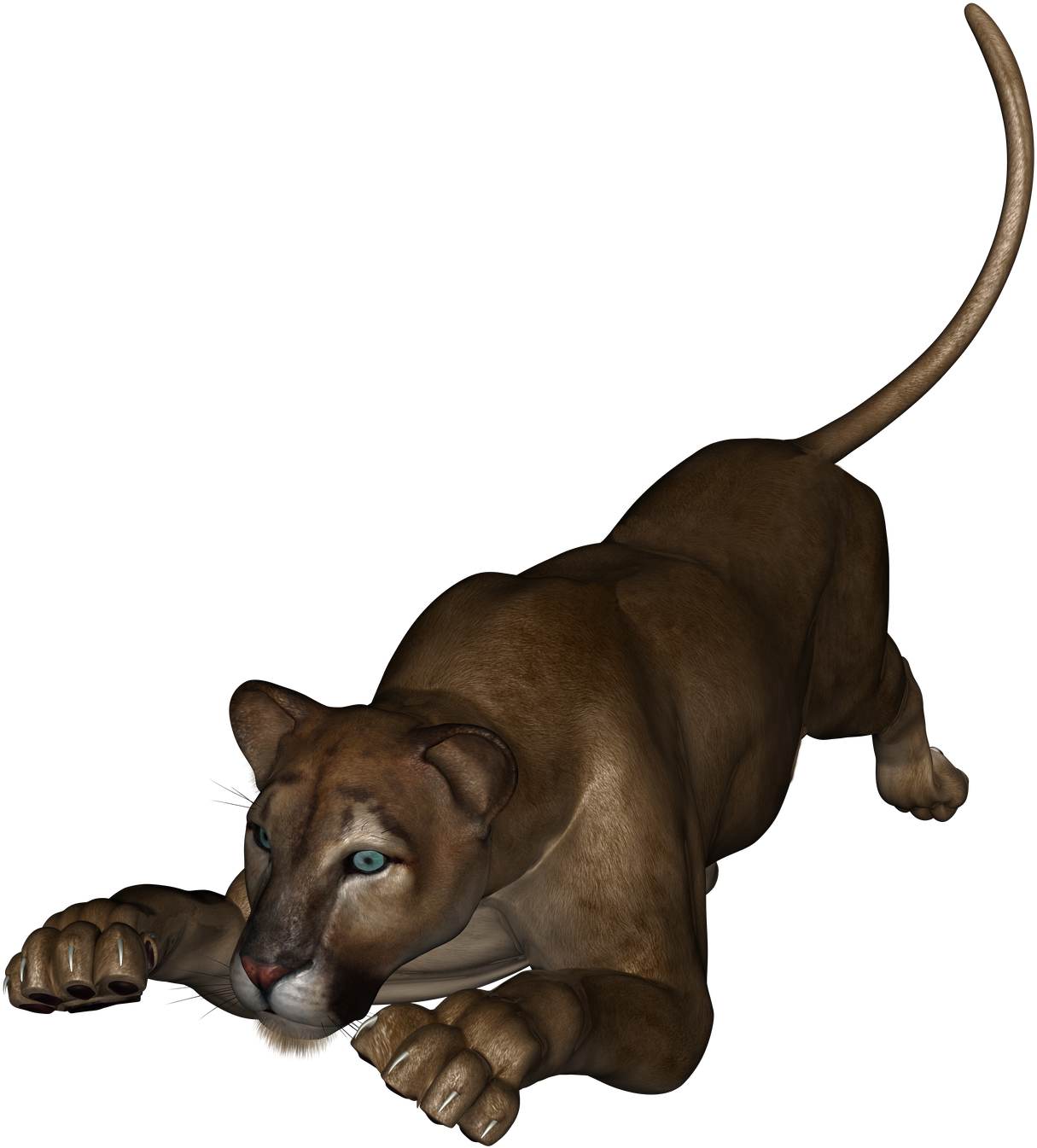 Prowling Lioness Graphic PNG image