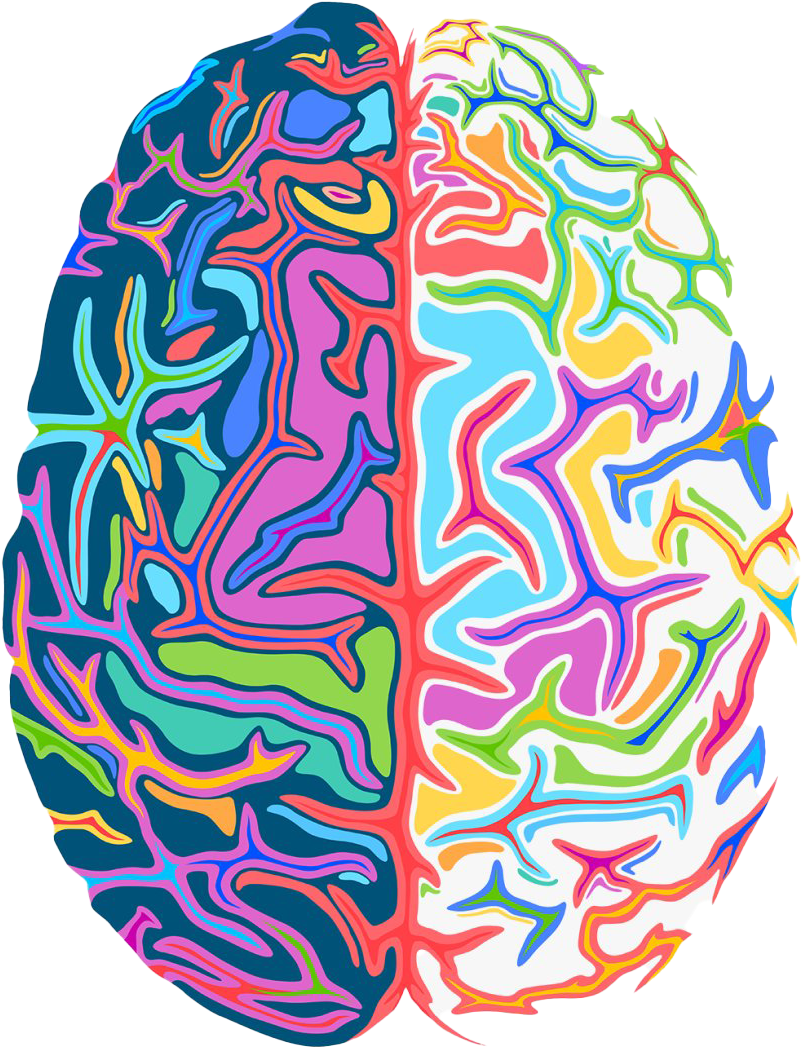 Psychedelic Brain Artwork PNG image