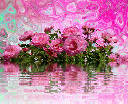 Psychedelic Pink Roses Reflection PNG image