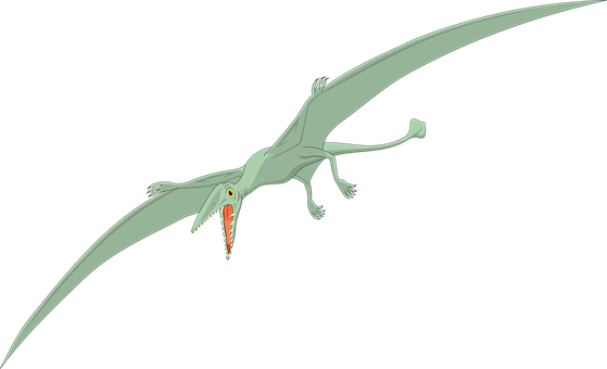 Pterosaur In Flight Illustration PNG image