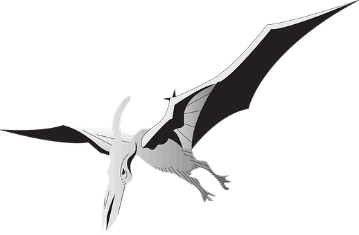 Pterosaur Silhouette Art PNG image