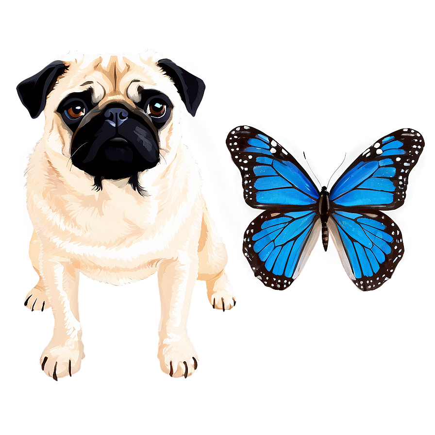 Pug And Butterfly Png 62 PNG image