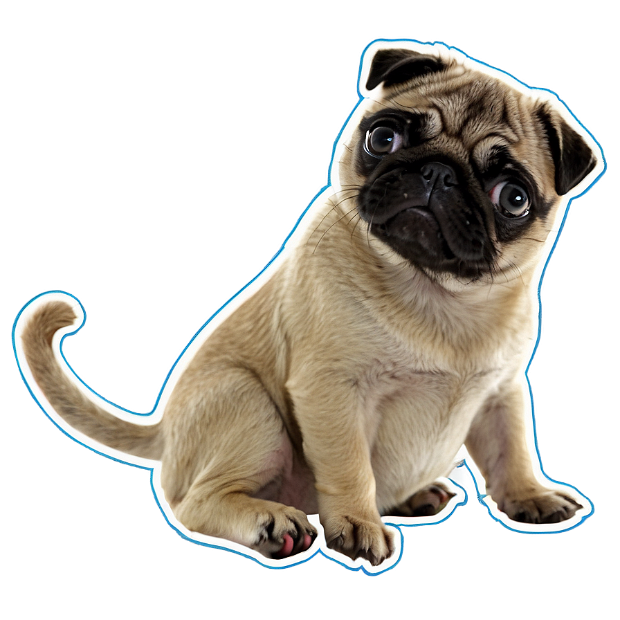 Pug With Kitten Png 05232024 PNG image