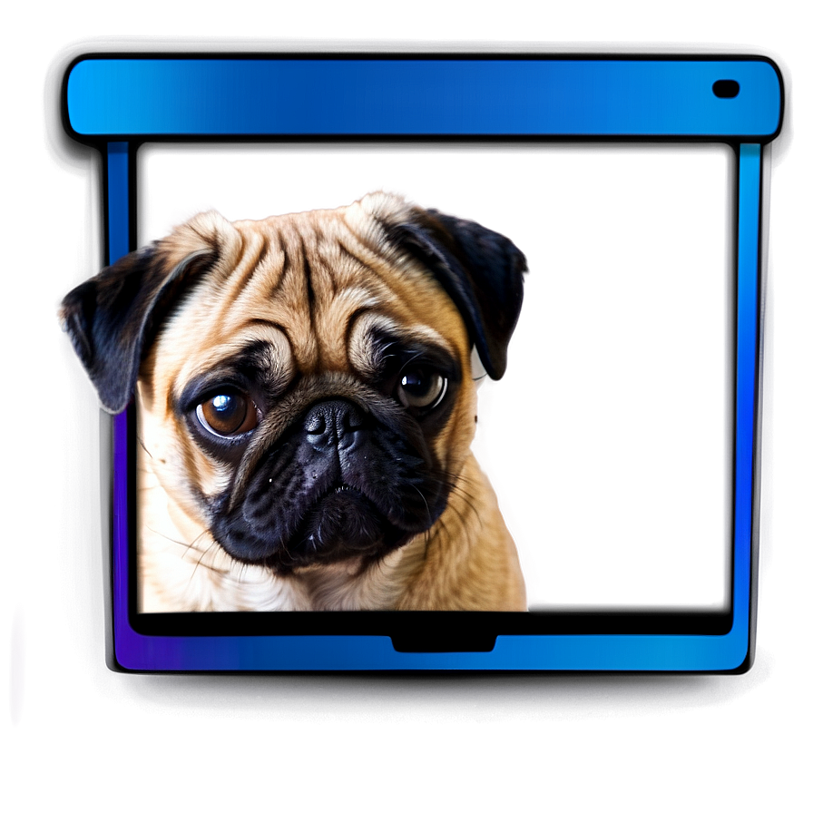 Pug With Laptop Png 22 PNG image