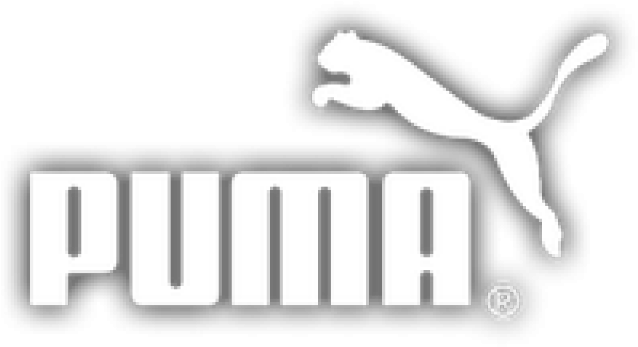Puma Brand Logo PNG image