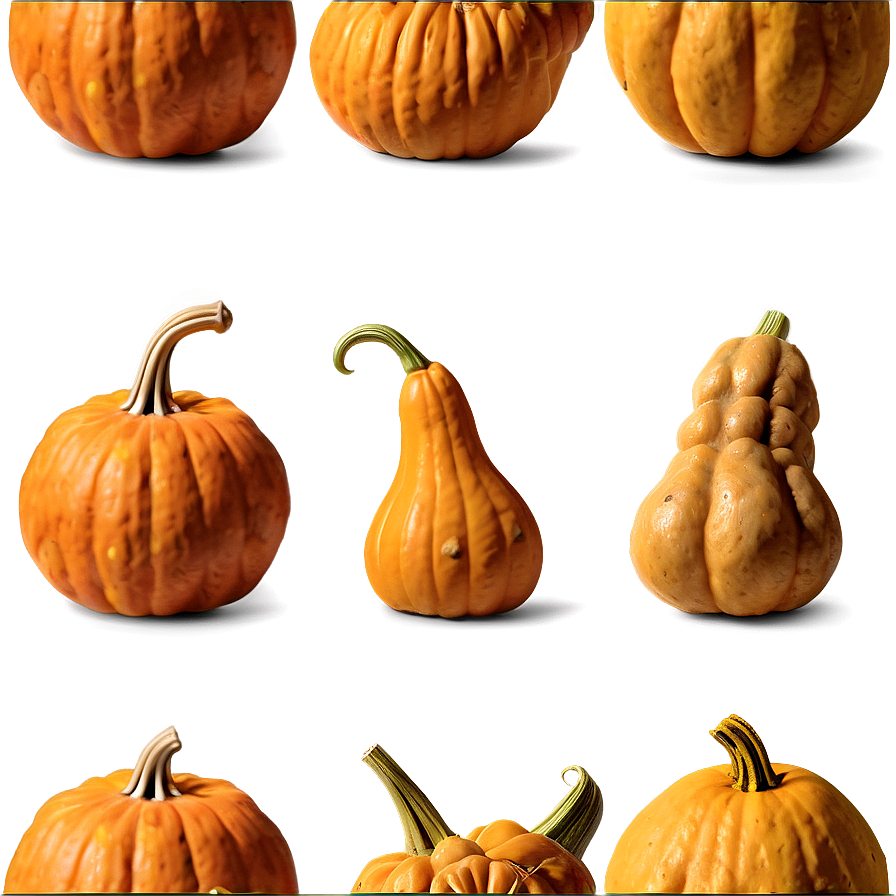 Pumpkin And Gourds Png Aqs PNG image