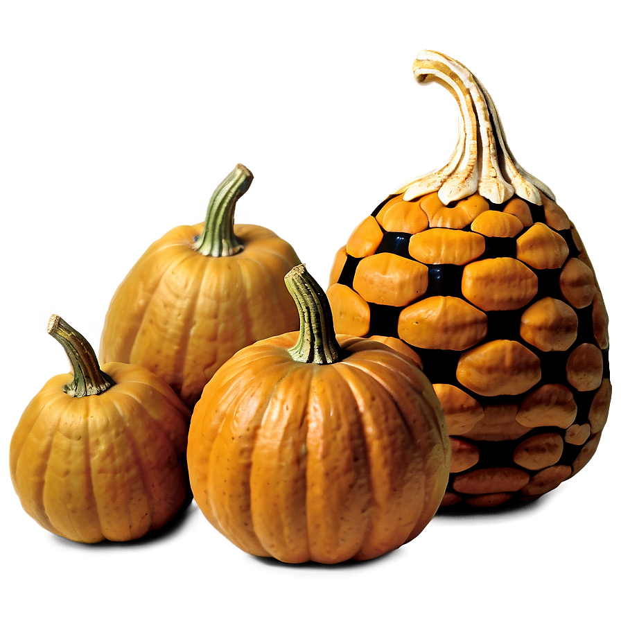 Pumpkin And Gourds Png Jpw27 PNG image