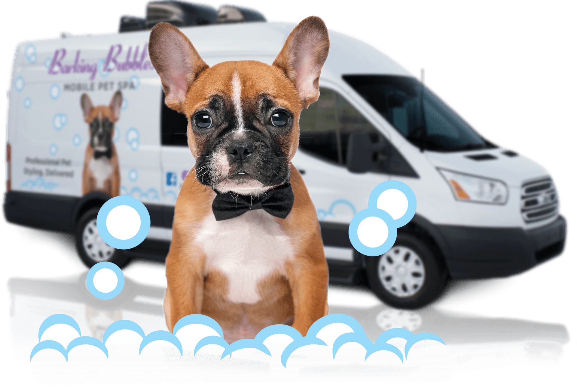 Puppy Mobile Pet Spa PNG image